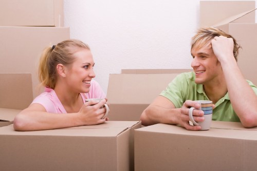Professional Borough van transport for local moving needs