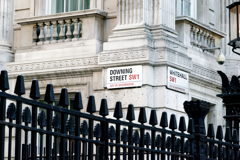 moving company moving companies
